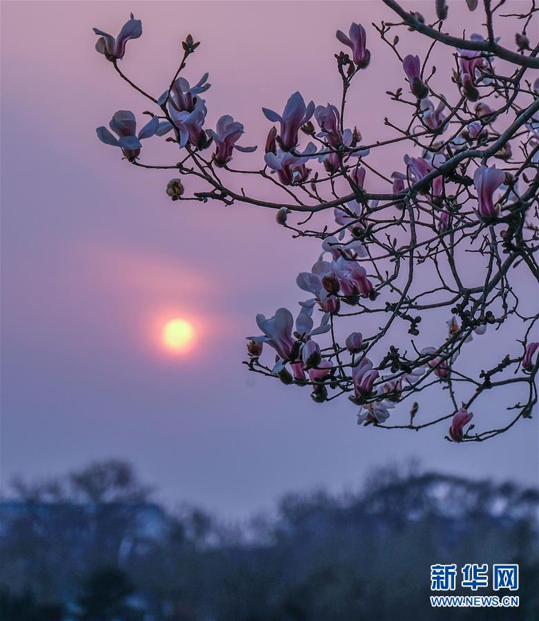 （美丽中国）（2）春到京城
