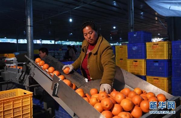 (图文互动)(4)一个乡村的生态“进化史”——重庆市奉节县草堂镇欧云村见闻