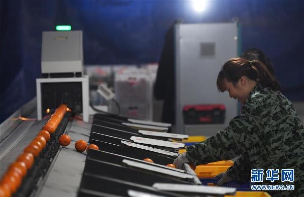 (图文互动)(1)一个乡村的生态“进化史”——重庆市奉节县草堂镇欧云村见闻