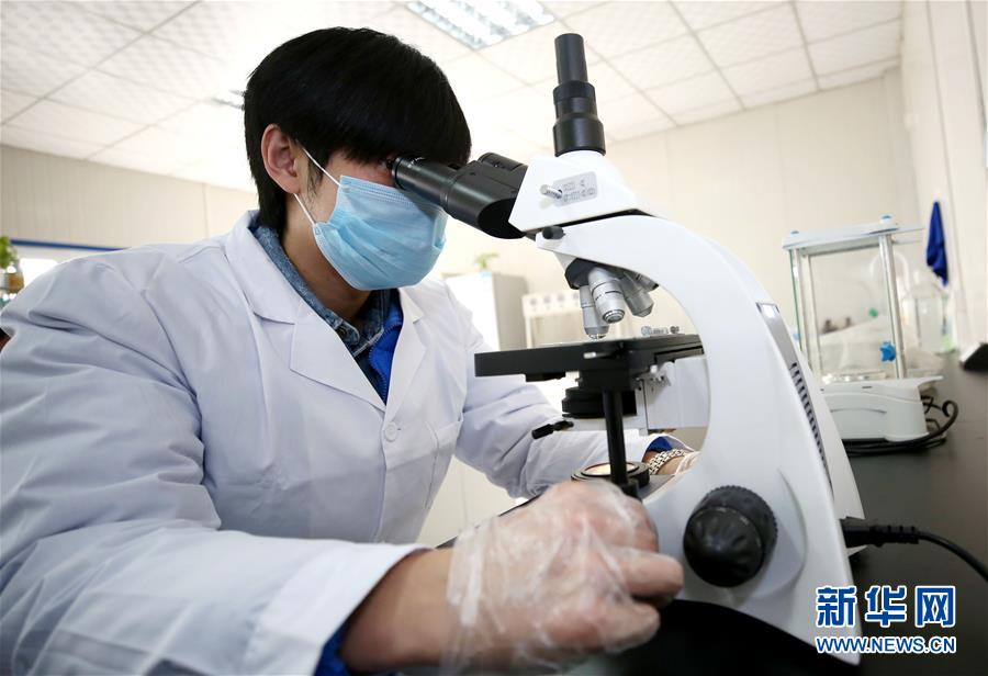 （社会）（4）南水北调助力河北廊坊绿色发展