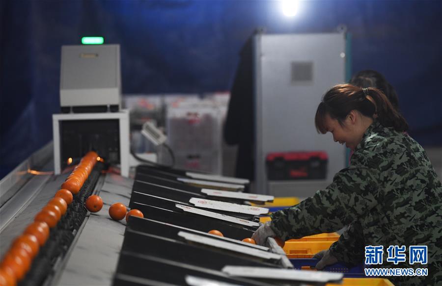 （图文互动）（1）一个乡村的生态&ldquo;进化史&rdquo;&mdash;&mdash;重庆市奉节县草堂镇欧云村见闻