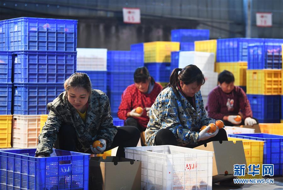 （图文互动）（2）一个乡村的生态&ldquo;进化史&rdquo;&mdash;&mdash;重庆市奉节县草堂镇欧云村见闻