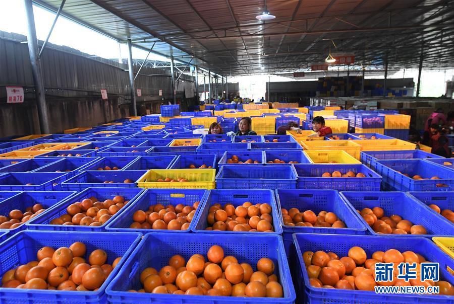 （图文互动）（3）一个乡村的生态&ldquo;进化史&rdquo;&mdash;&mdash;重庆市奉节县草堂镇欧云村见闻