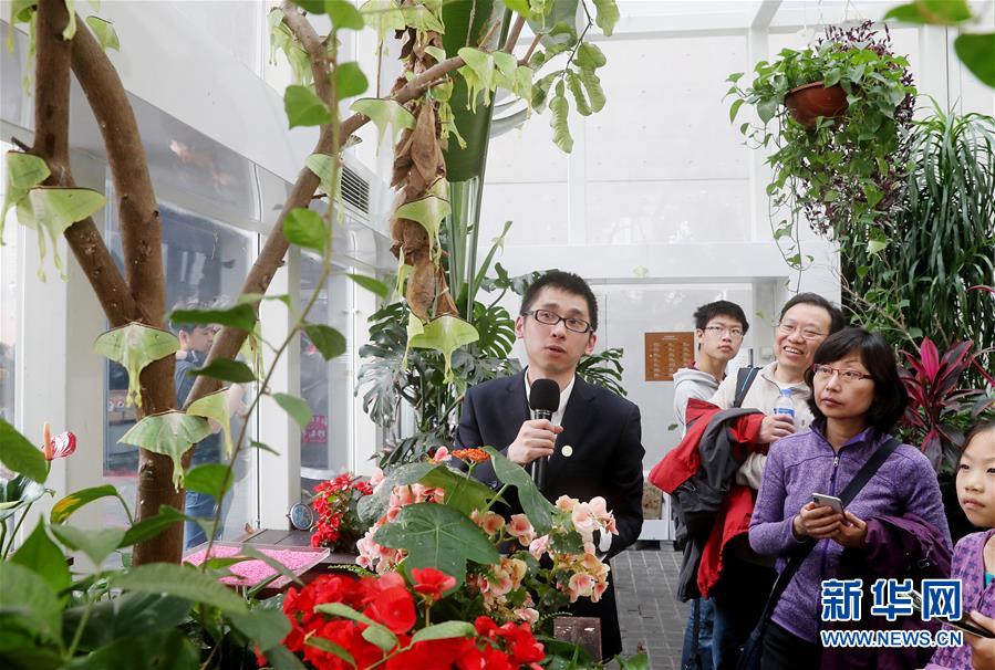 （社会）（5）上海：自然博物馆里观赏绿尾大蚕蛾