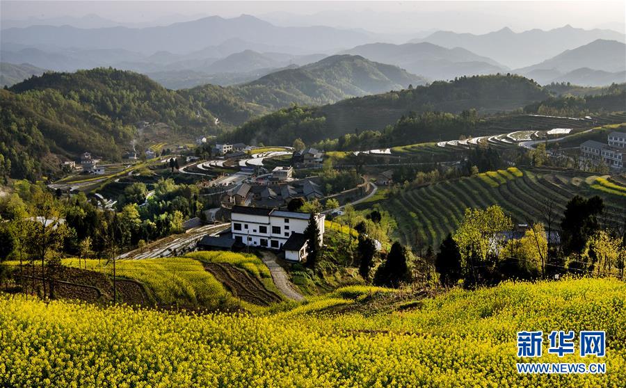 （美丽中国）（1）陕南凤堰古梯田 花水相映展画卷