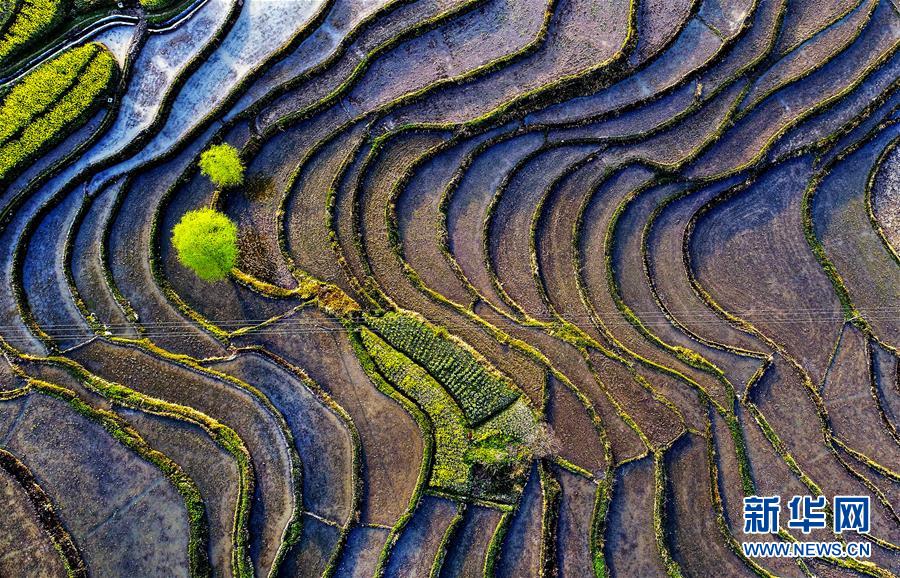 （美丽中国）（4）陕南凤堰古梯田 花水相映展画卷