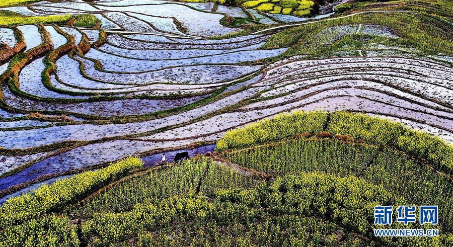 （美丽中国）（10）陕南凤堰古梯田 花水相映展画卷