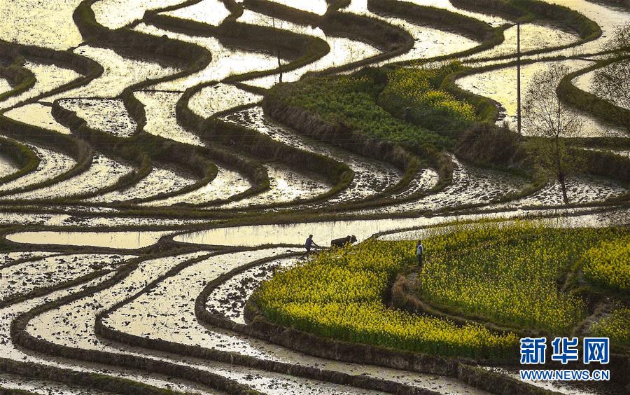 （美丽中国）（11）陕南凤堰古梯田 花水相映展画卷