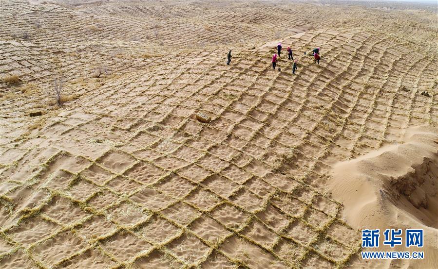 #（环境）（1）甘肃临泽：防沙治沙筑屏障