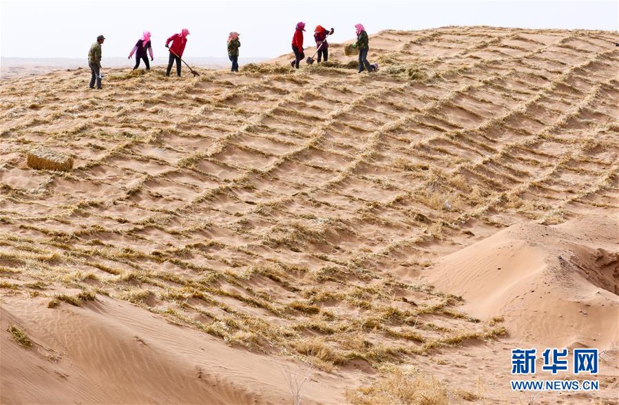 #（环境）（3）甘肃临泽：防沙治沙筑屏障