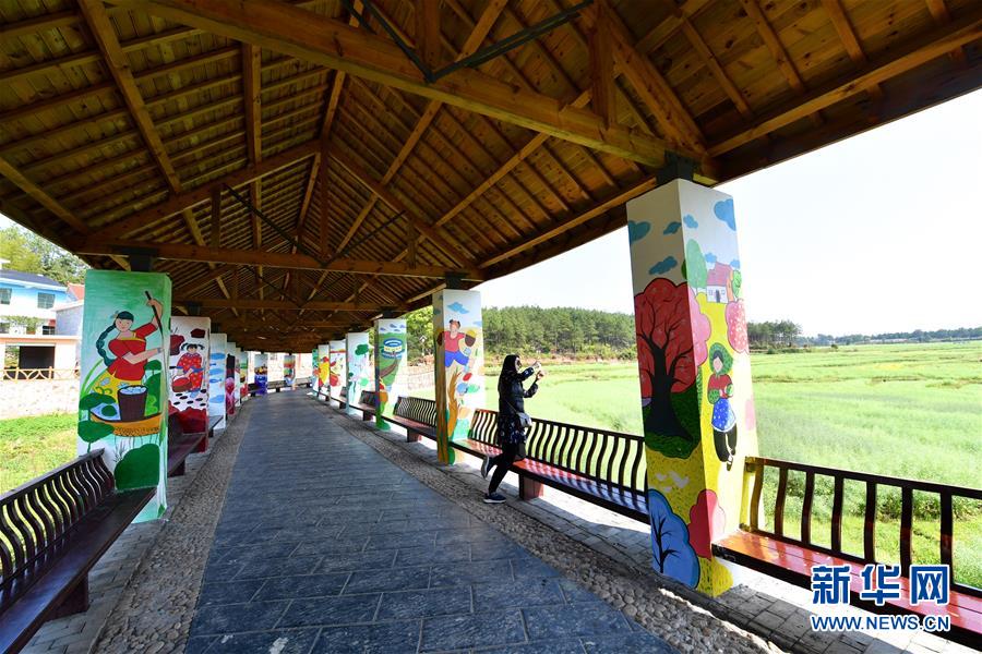 （春季美丽生态）（4）这里的乡村美如&ldquo;画&rdquo;