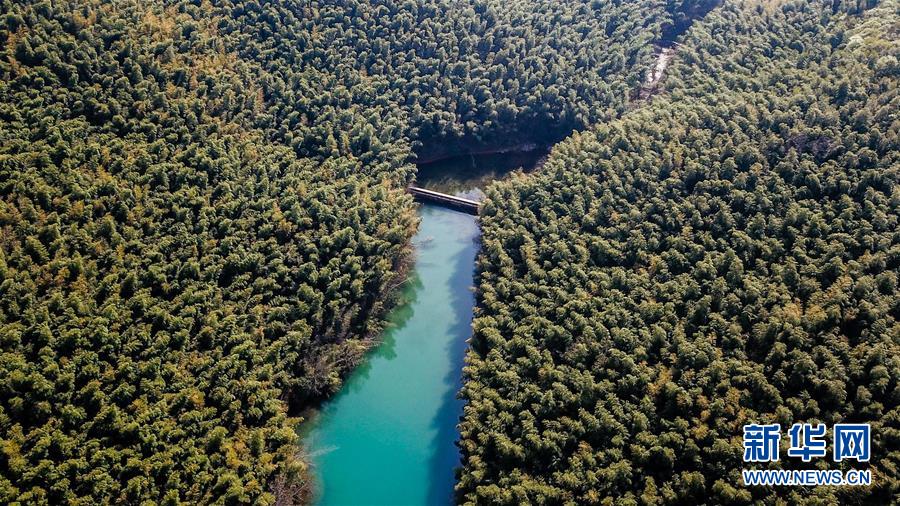 绿色石塘 幸福人家