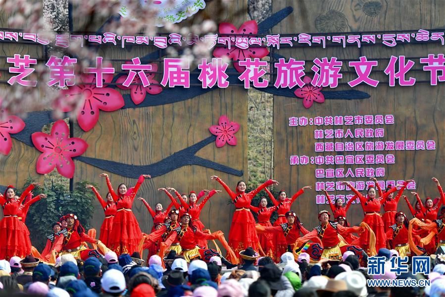（图文互动）（1）西藏&ldquo;以花为媒&rdquo;借林芝桃花节助推特色产业