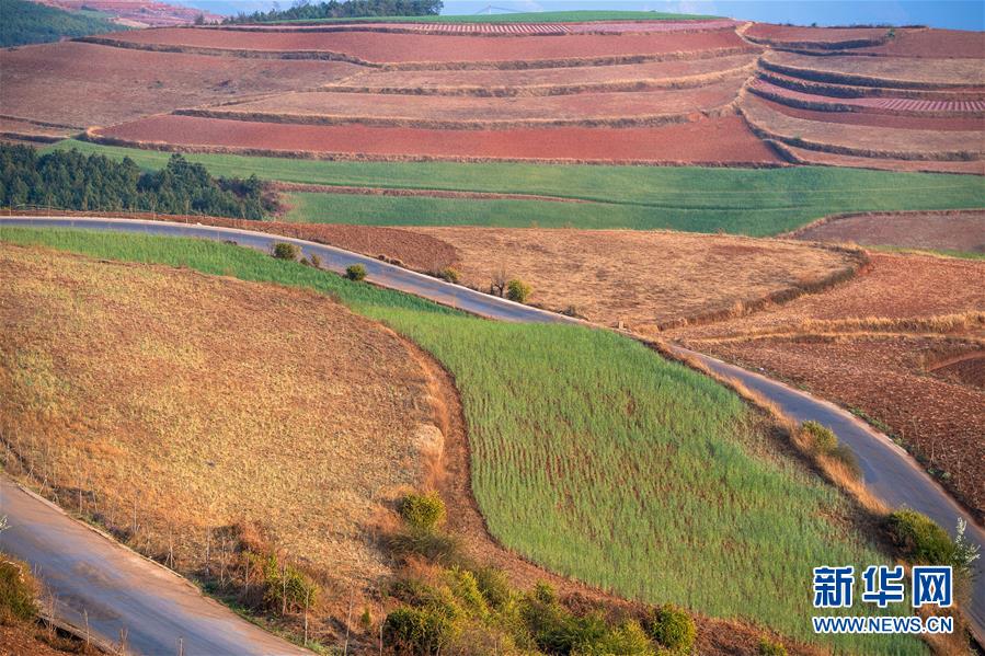 以犁为笔,以种子为墨--农家人在东川红土地上