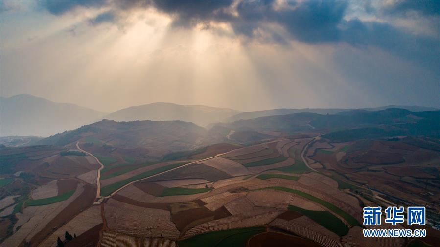以犁为笔,以种子为墨--农家人在东川红土地上
