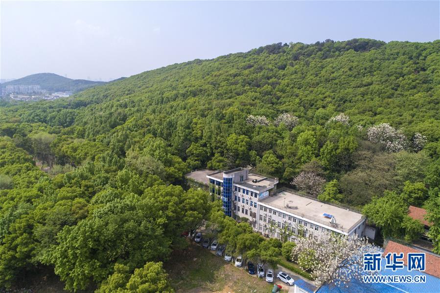 （科技）（1）洞中&ldquo;引力人&rdquo;&mdash;&mdash;探访华中科技大学引力实验中心科研团队