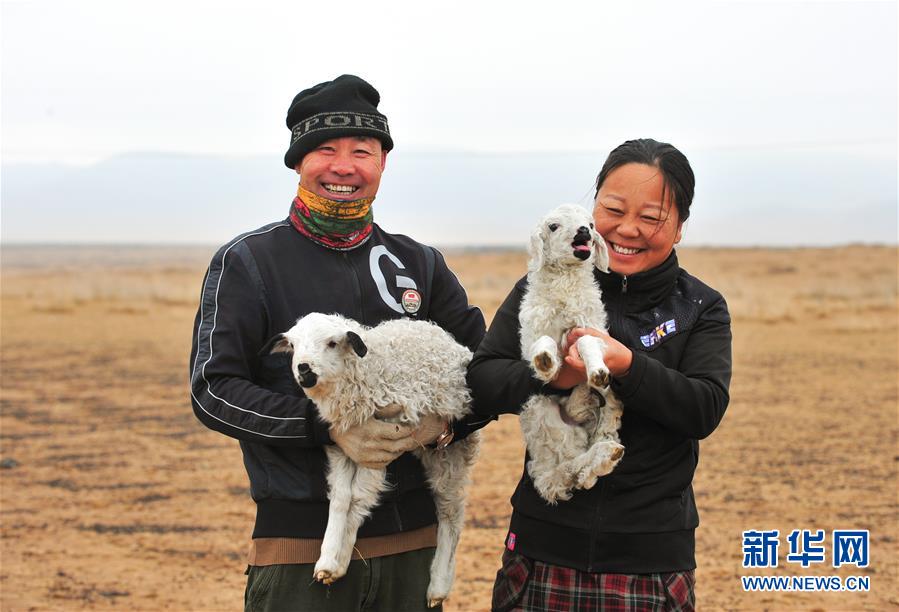 （社会）（1）内蒙古草原牧民喜接春羔