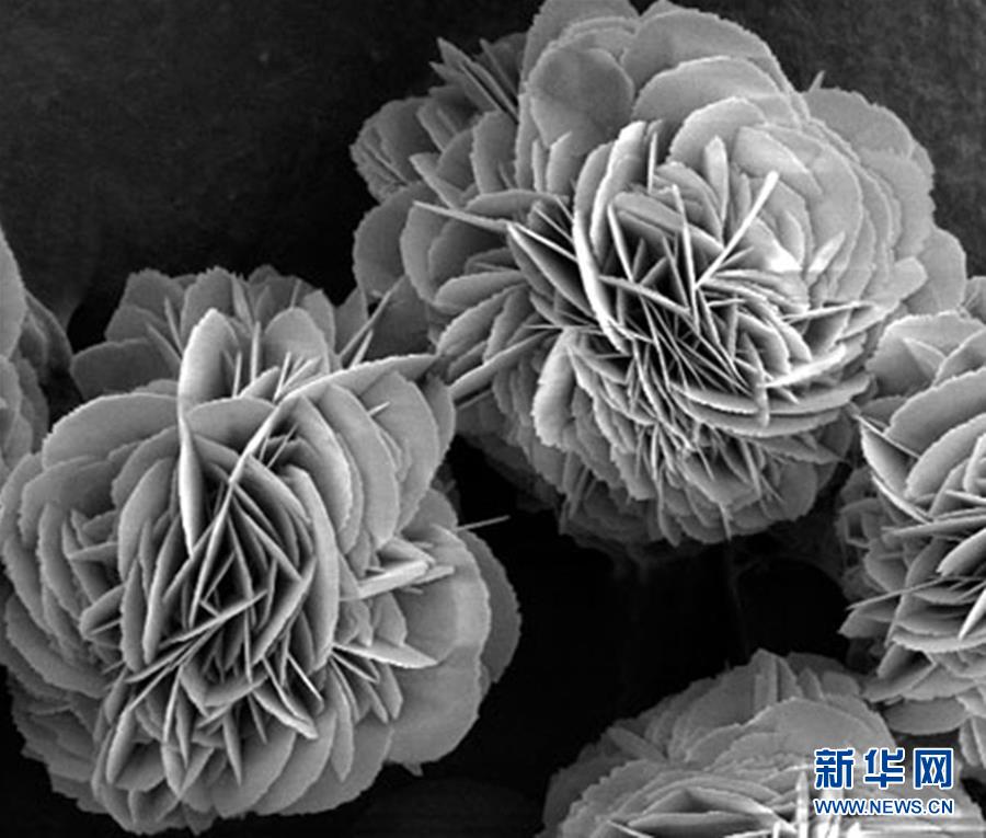 (新时代奋斗者·图文互动)(3)“美丽发现”之路——记青年化学家戈钧