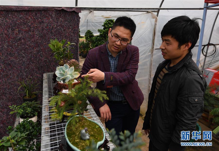 （习近平新时代中国特色社会主义思想在基层&middot;党的建设新进展&middot;图文互动）（3）党建强 百姓富 江苏宿迁&ldquo;支部+电商&rdquo;引领奔小康