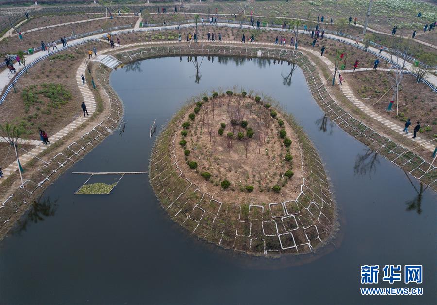 （春季美丽生态）（1）江苏淮安：牡丹盛开惹人醉