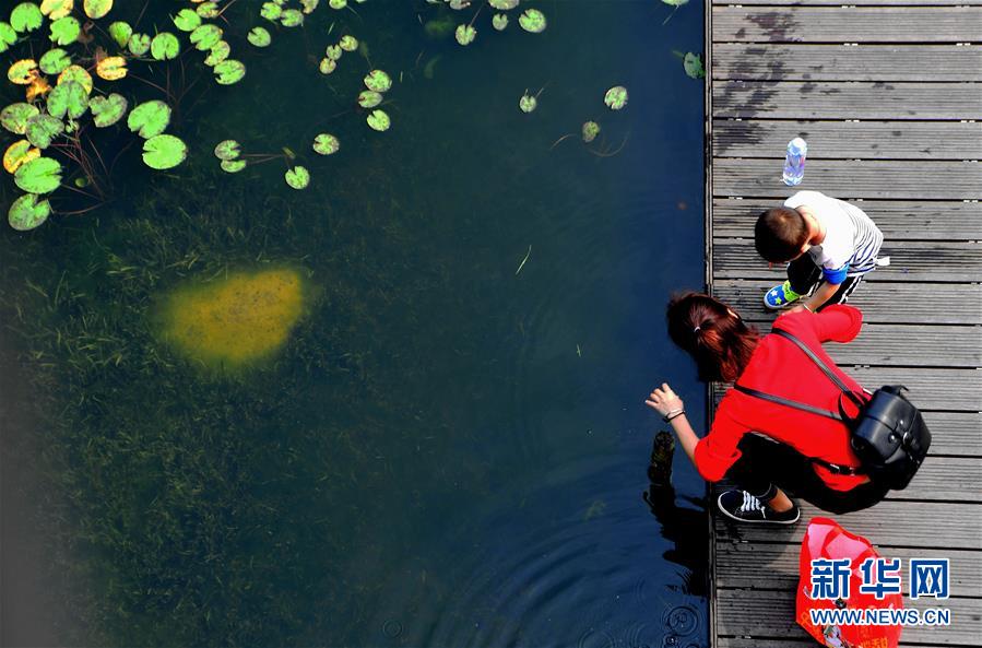 （春季美丽生态）（6） 福州：空中步行道 人在画中游