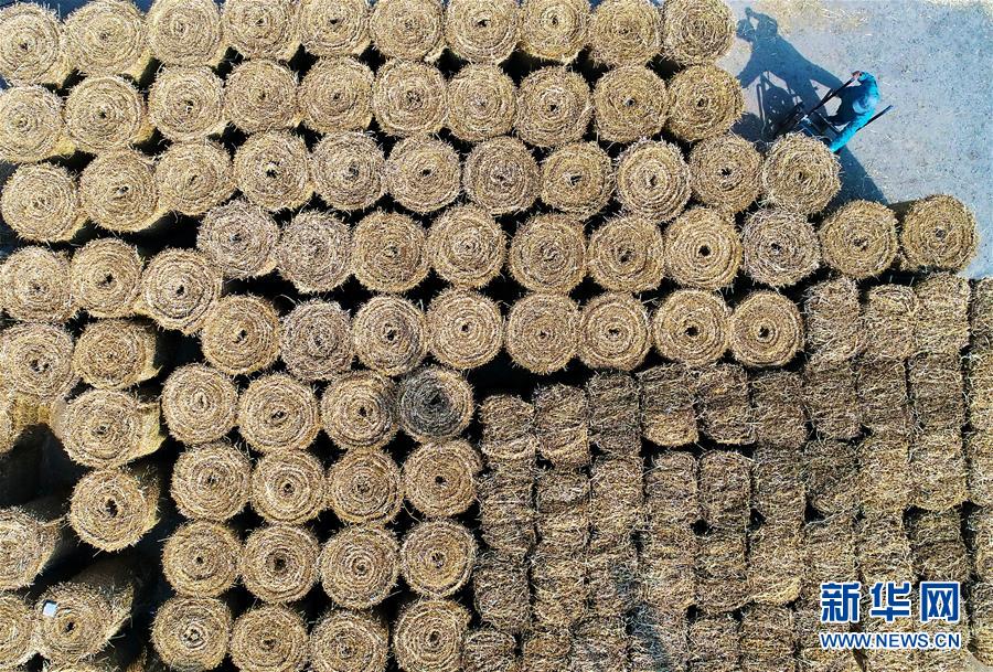 （经济）（2）稻草编织 变废为宝