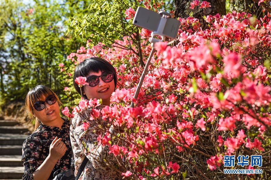 （社会）（4）花美茶飘香&mdash;&mdash;大别山花石乡特色扶贫经
