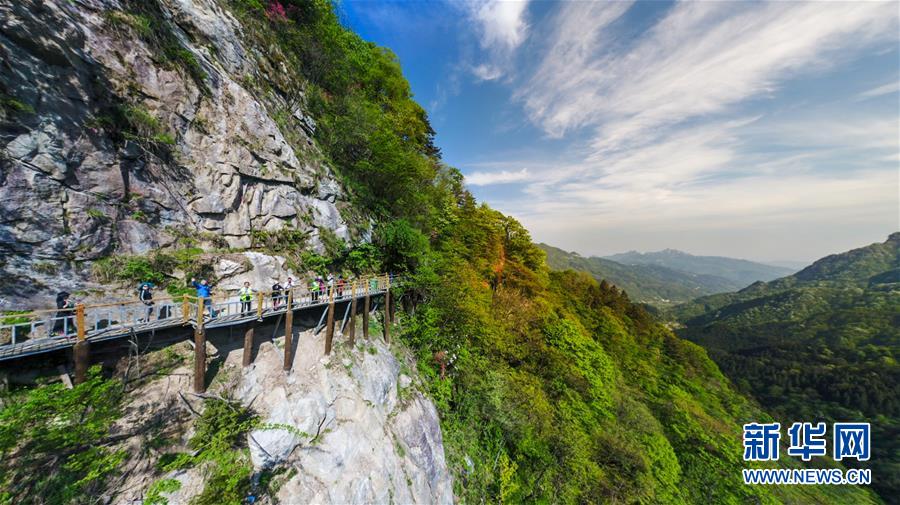 （社会）（5）花美茶飘香&mdash;&mdash;大别山花石乡特色扶贫经