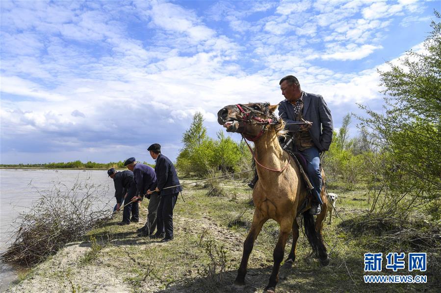 （图片故事）（4）伊犁河畔的生态守护者