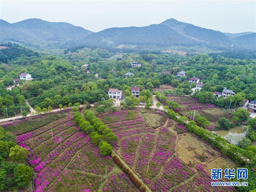 （新华全媒头条·图文互动）（1）新华社评论员：厚植生态文明 耕耘美丽中国