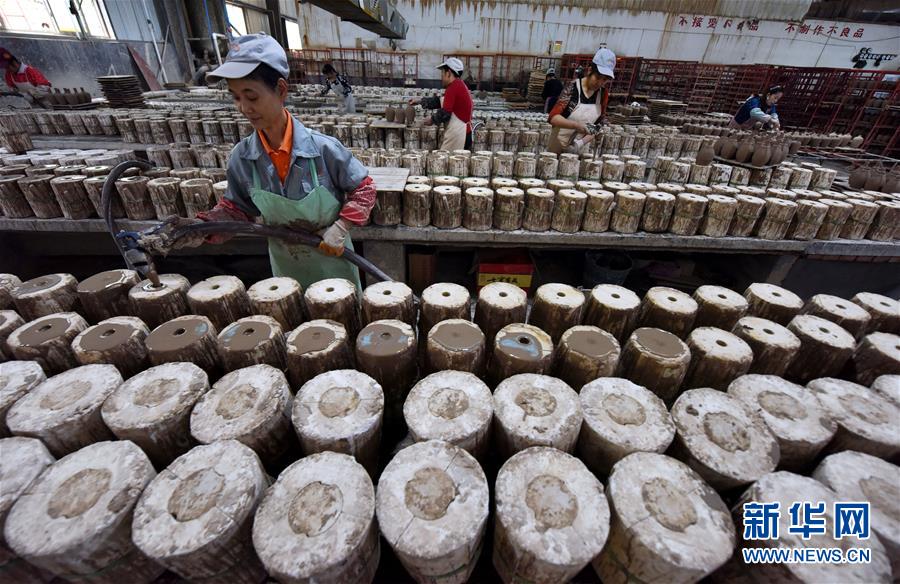 （社会）（4）返乡&ldquo;草根&rdquo;成包装行业主力军