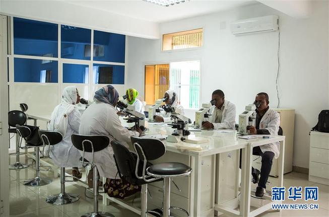 (新华全媒头条·世界防治疟疾日·图文互动)(2)“月亮之国”的驱魔人——记非洲抗疟战场上的广东团队