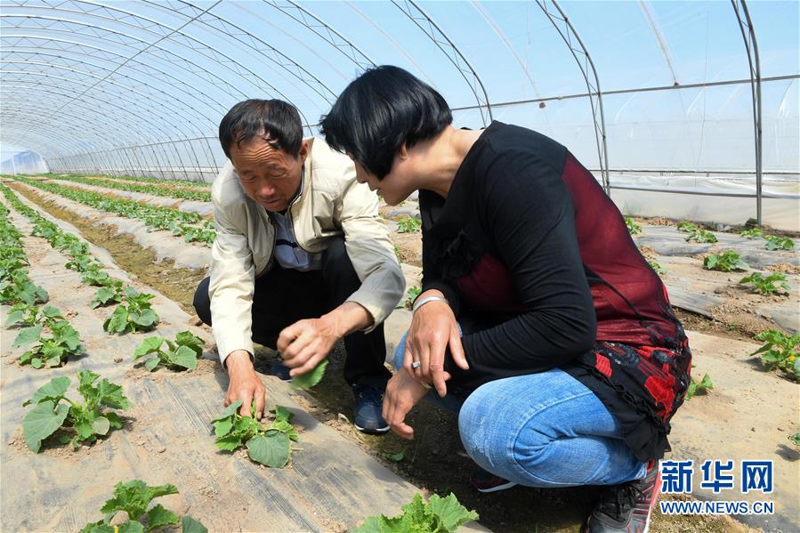 （社会）（2）内蒙古鄂托克前旗：易地搬迁&ldquo;挪穷窝&rdquo; 设施农业稳脱贫