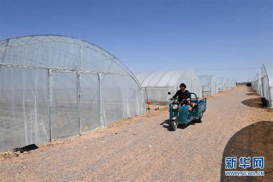 （社会）（5）内蒙古鄂托克前旗：易地搬迁&ldquo;挪穷窝&rdquo; 设施农业稳脱贫