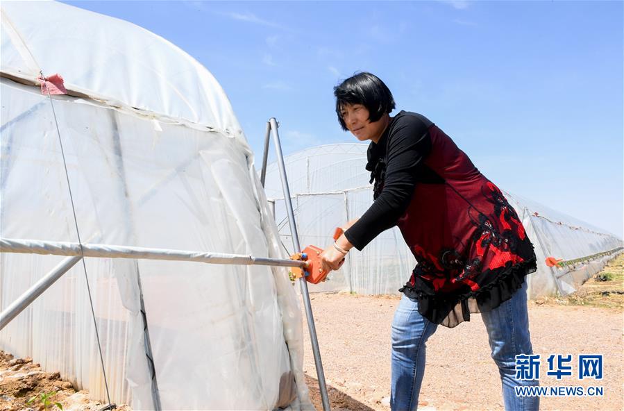 （社会）（8）内蒙古鄂托克前旗：易地搬迁&ldquo;挪穷窝&rdquo; 设施农业稳脱贫