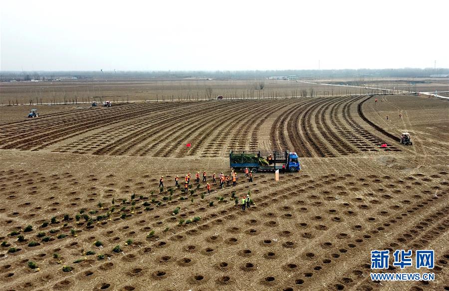 （新华全媒头条&middot;图文互动）（6）奋进新时代　建设雄安城&mdash;&mdash;以习近平同志为核心的党中央谋划指导《河北雄安新区规划纲要》编制纪实