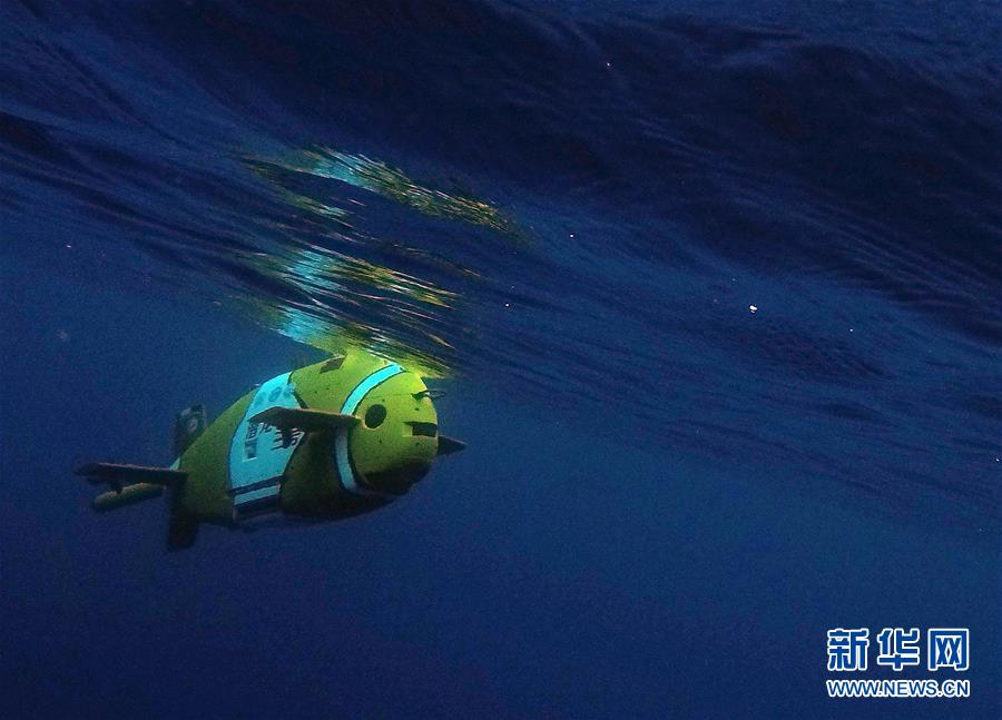 （图文互动）（3）&ldquo;潜龙三号&rdquo;试验性应用首潜归来 带回了哪些深海秘密