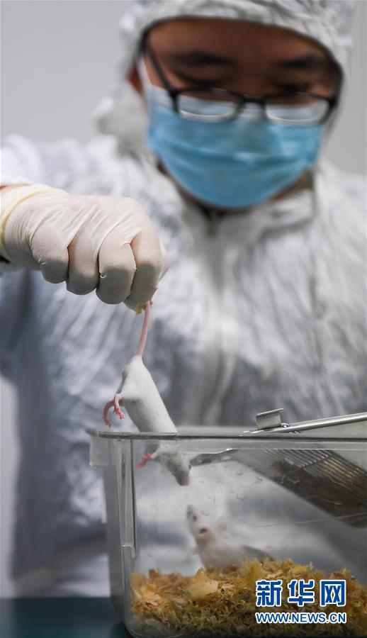 （社会）（10）江苏马山：生物医药助力乡村经济振兴