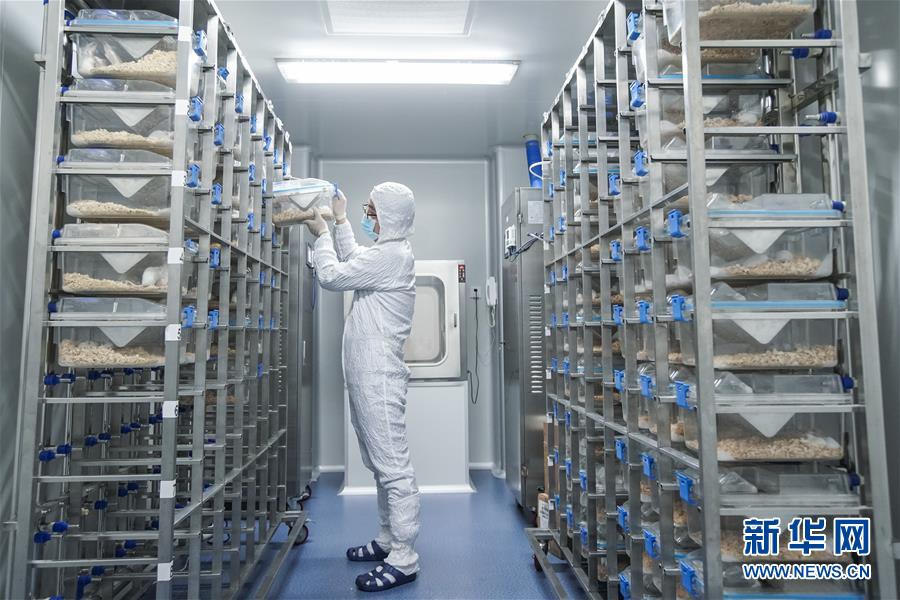 （社会）（4）江苏马山：生物医药助力乡村经济振兴