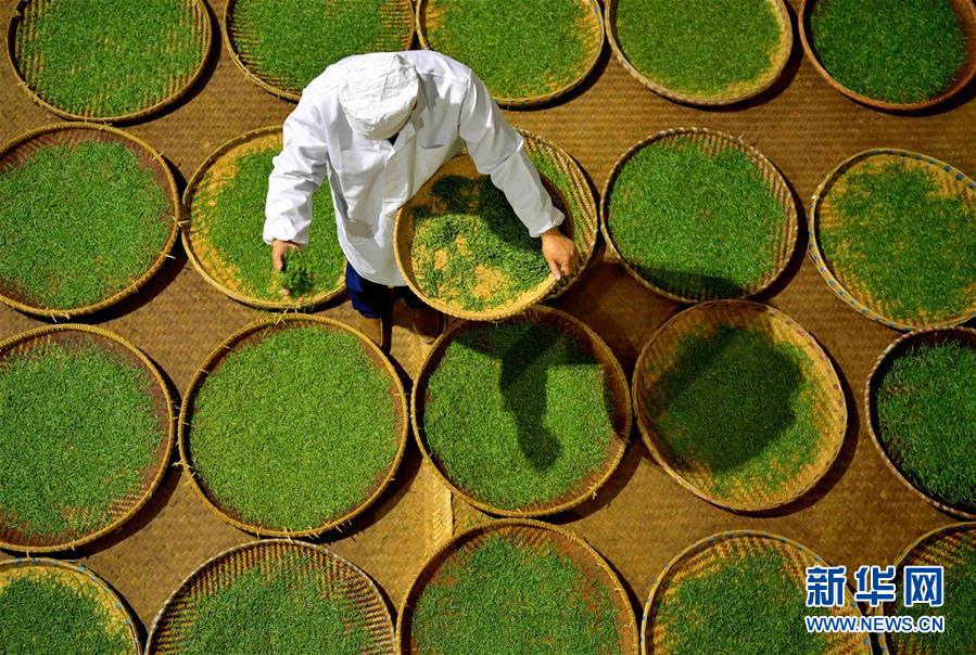 #（社会）（3）人间至味&ldquo;冷后浑&rdquo;