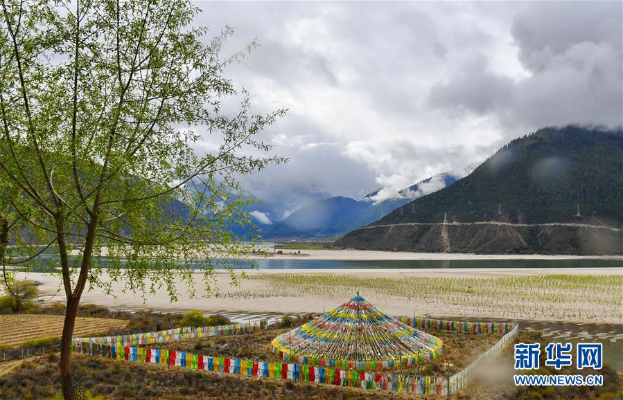 （美麗中國）（3）西藏雅尼國家濕地公園春色怡人