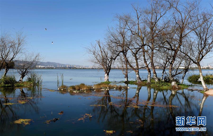 （环境）（6）云南打造绿色屏障 确保&ldquo;一江清水向东流&rdquo;