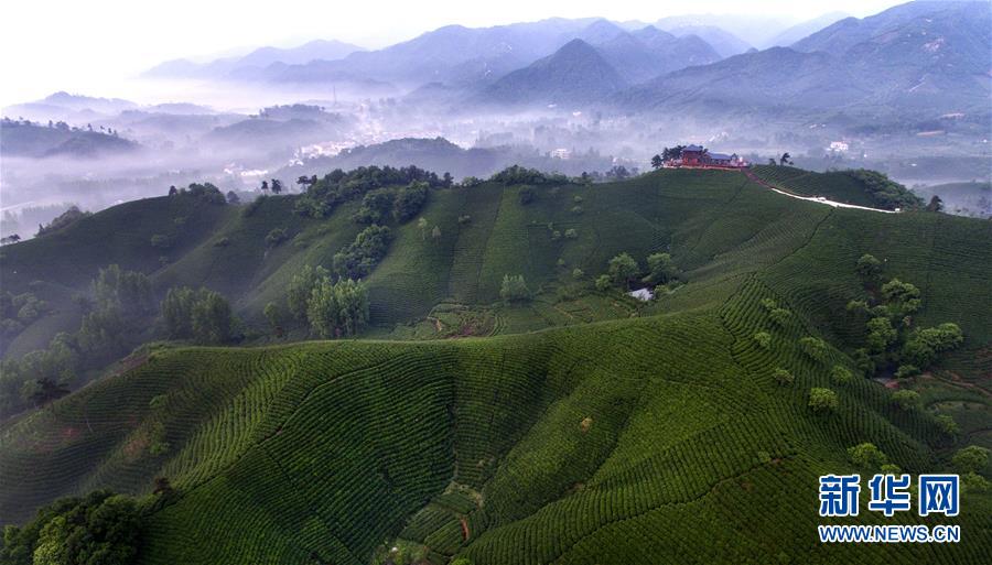 （经济）（4）河南信阳：乡村旅游方兴未艾
