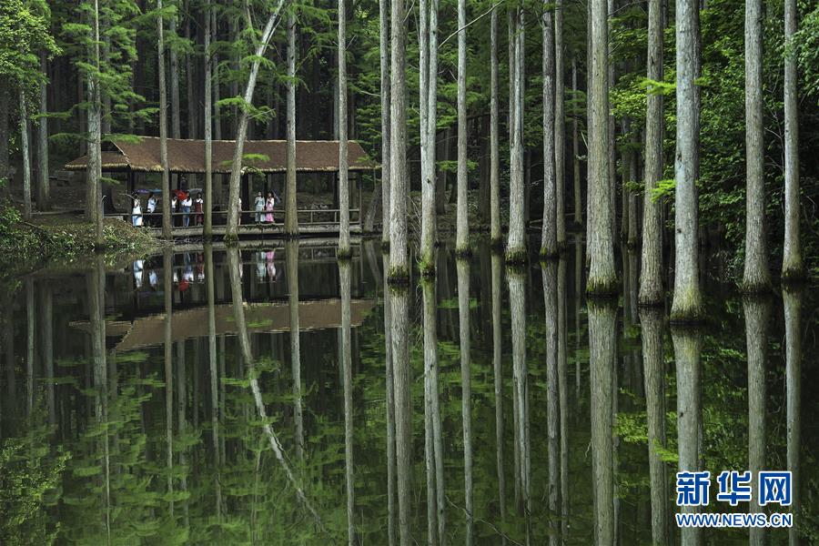 （经济）（6）河南信阳：乡村旅游方兴未艾