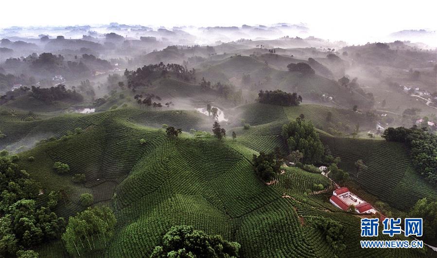 （经济）（7）河南信阳：乡村旅游方兴未艾