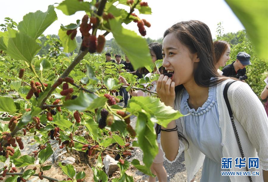 （经济）（8）河南信阳：乡村旅游方兴未艾