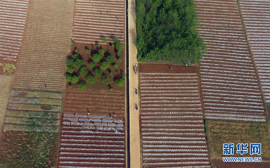 （环境）（2）云南寻甸：红土地上的美丽田园乡村