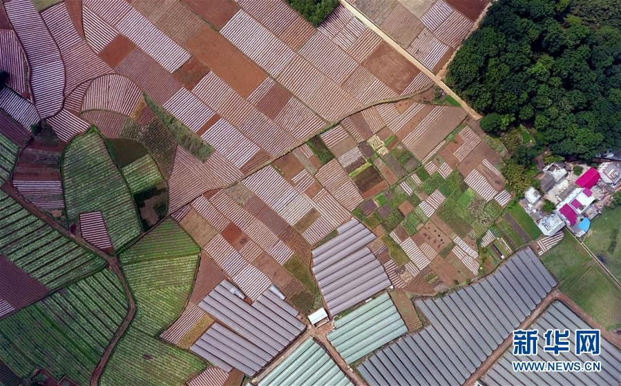 （环境）（3）云南寻甸：红土地上的美丽田园乡村