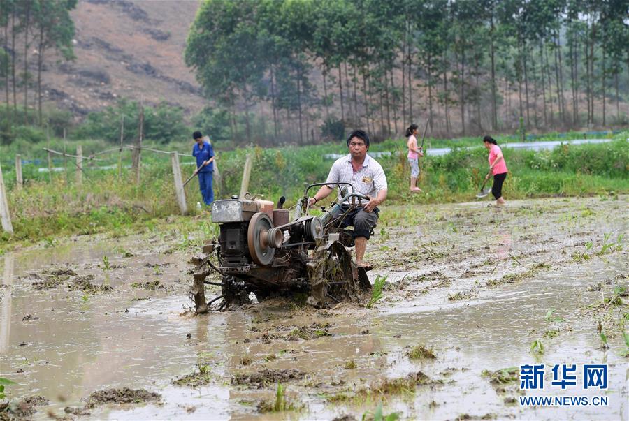 #(图片故事)(3)家门口实现致富梦