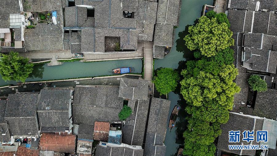 (图片故事)(4)周庄记之二:市河上的“文化船娘”